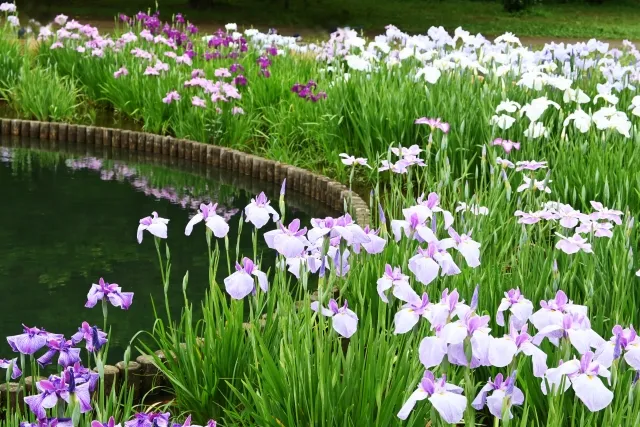 東村山市の風景