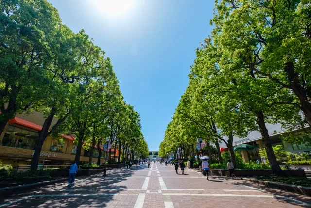 多摩市の風景