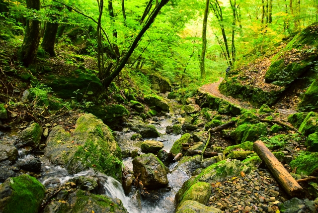 奥多摩町の風景
